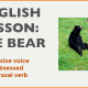 English Lesson bear