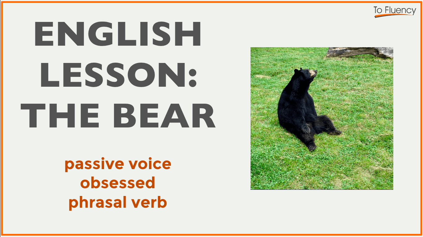 English Lesson bear